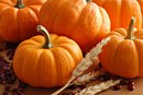 pumpkingpatch